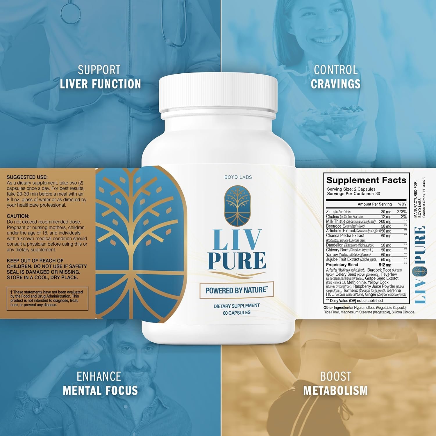 Liver Function Chart