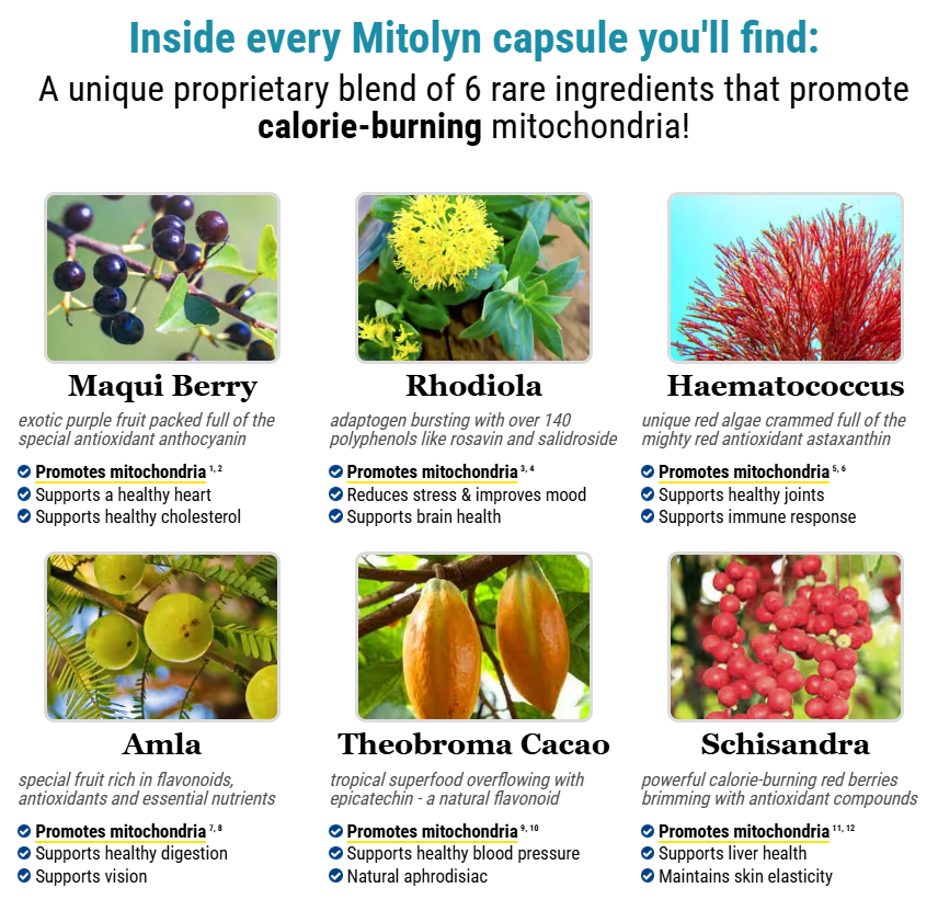 Mitolyn Science Breakdown